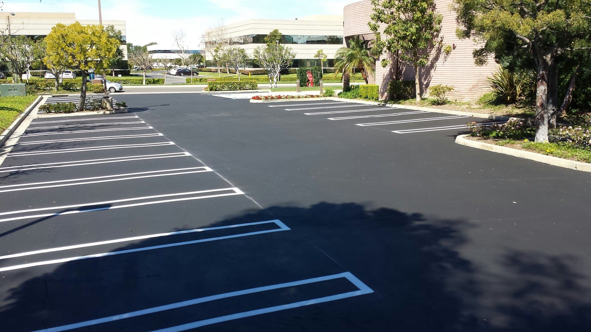 Office park parking lot with fresh seal coat and newly painted parking stalls